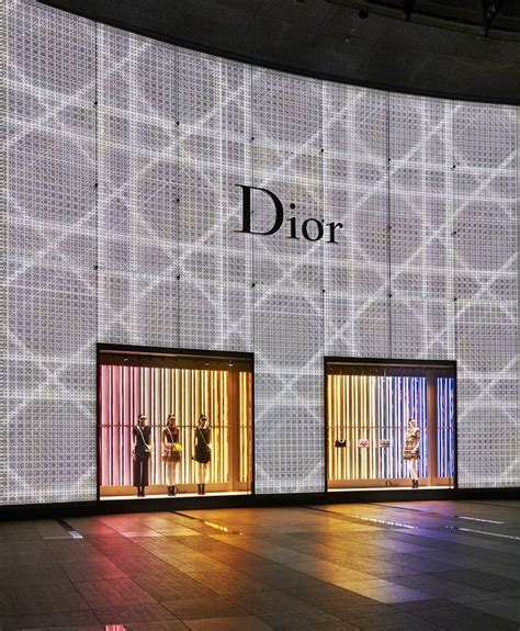 dior online store singapore|Dior boutique Singapore.